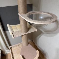 キャットタワー 突っ張り式の画像