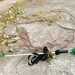 自然素材＊【リース・DIY・インテリアに】の画像