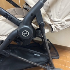 サイベックス　メリオカーボン　シーシェルベージュの画像