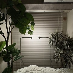 IKEA ライト 2個セットの画像