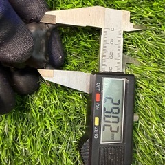 [国産オオクワガタNO:189]YG871系統  ♂単品80.9ミリ  の画像