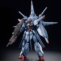 ＭＧ 1/100 プロヴィデンスガンダム [スペシャルコーティング]の画像