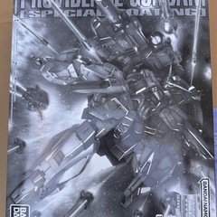 ＭＧ 1/100 プロヴィデンスガンダム [スペシャルコーティング]の画像