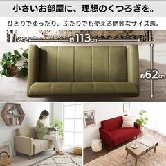 アイリスプラザ 2人掛 ソファー　FBS-2P アッシュグレーの画像