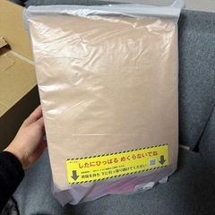 新品　ランドセル　ランリュック　ニューランド　くあるてっくクアルテックの画像