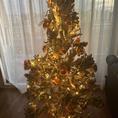 クリスマスツリーの画像