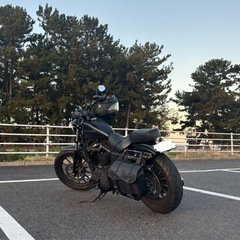 ツーリング仲間募集