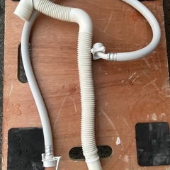 ⭐️縦型全自動洗濯機 YWM-T50G1｜ヤマダセレクト⭐️の画像