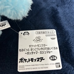 新品！最新！
ポケットモンスター ほっこりいやされ ぬいぐるみ ポッチャマの画像