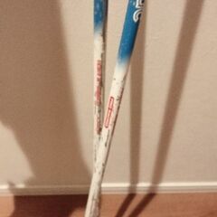 スキー板130 とストック95 と袋の画像