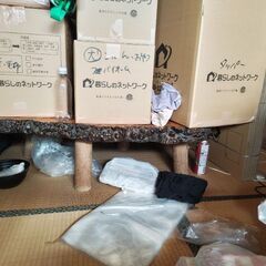 切り株の机 大小セットの画像