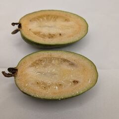 【幻の果実】濃厚な香り！フェイジョア 1kgパック (約20g～60g/個)の画像