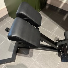 バックエクステンション　ローマンチェア　筋トレ
の画像