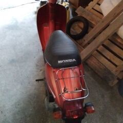 タクテイの画像