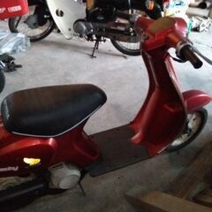 タクテイの画像