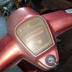 タクテイの画像