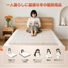 ブラックフライデーセール　アマプラより安い！　お値下げ不可　早い者勝ち　電気毛布　AI搭載　丸洗い可能　切り忘れ防止　　の画像