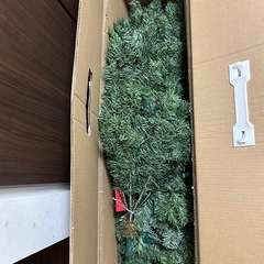 クリスマスツリーの画像