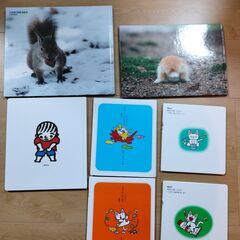 絵本７冊セットで７００円です(*^^*)　（ノンタン４冊・うさぎじまのうさぎちゃん１冊・クルミの森のニホンリス１冊・できるよできるしっこっこ１冊）の画像
