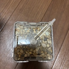 中古 ロカボーイsの画像