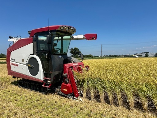 令和7年茨城産コシヒカリ玄米　30kg  完売しました！
