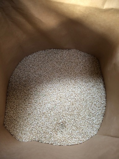 令和7年茨城産コシヒカリ玄米　30kg  完売しました！
