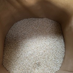 令和7年茨城産コシヒカリ玄米　30kgの画像