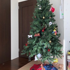 クリスマスツリーの画像