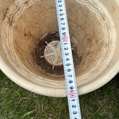 プラスチックのポット　白5個の画像