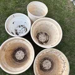 プラスチックのポット　白5個の画像