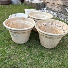 プラスチックのポット　白5個の画像