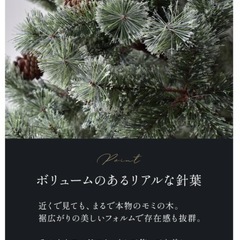 【差し上げます】クリスマスツリーの画像