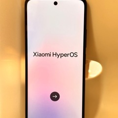 Redmi 12 5G XIG03 ブラック　SIMフリー の画像