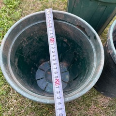 問い合わせ中、緑のプラスチックポットの画像