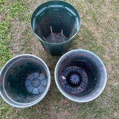 問い合わせ中、緑のプラスチックポットの画像