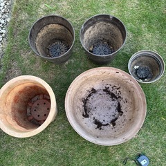 問い合わせ中、 茶色のプラスチックポットの画像