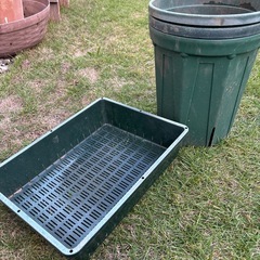 問い合わせ中、緑のプラスチックポットの画像