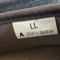 あゆみの介護シューズの画像