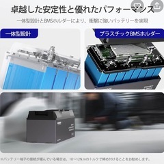 Renogy 12V 200AH PROリン酸鉄 lifepo4　2個セット　12v/24vの画像