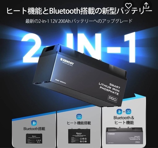 Renogy 12V 200AH PROリン酸鉄 lifepo4　2個セット　12v/24v