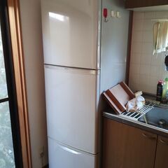 冷蔵庫とフリーザー等の画像