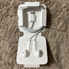 Lightning イヤホン 未使用品の画像