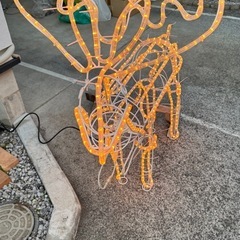 クリスマストナカイ
の画像