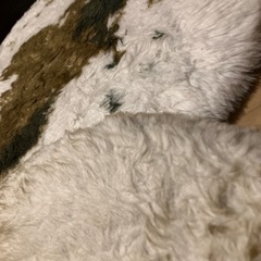 モコモコ　毛の　動物柄　クッション 2枚セットの画像