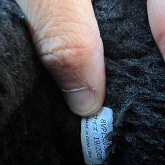 キッズ スノーシューズ 19cmの画像