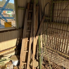 木材（角材、丸杭色々）の画像