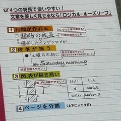 ルーズリーフ  1冊は新品  の画像