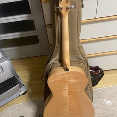 Tyler エレアコ　アカデミーEG-12eの画像