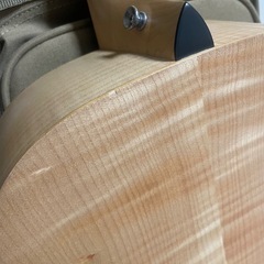 Tyler エレアコ　アカデミーEG-12eの画像