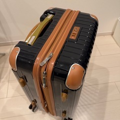 キャリーバック（デザイン良し）の画像